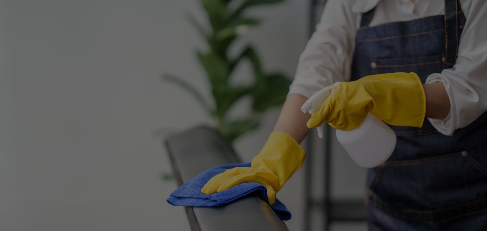 323 Cleaning